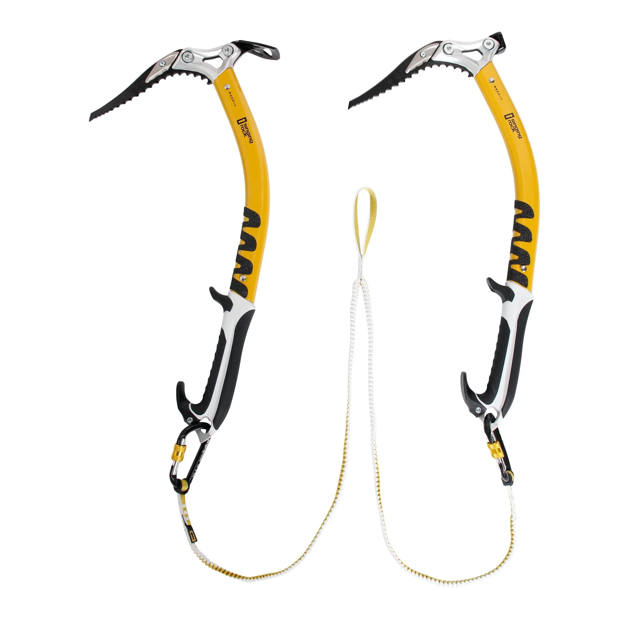 Bungee Leash