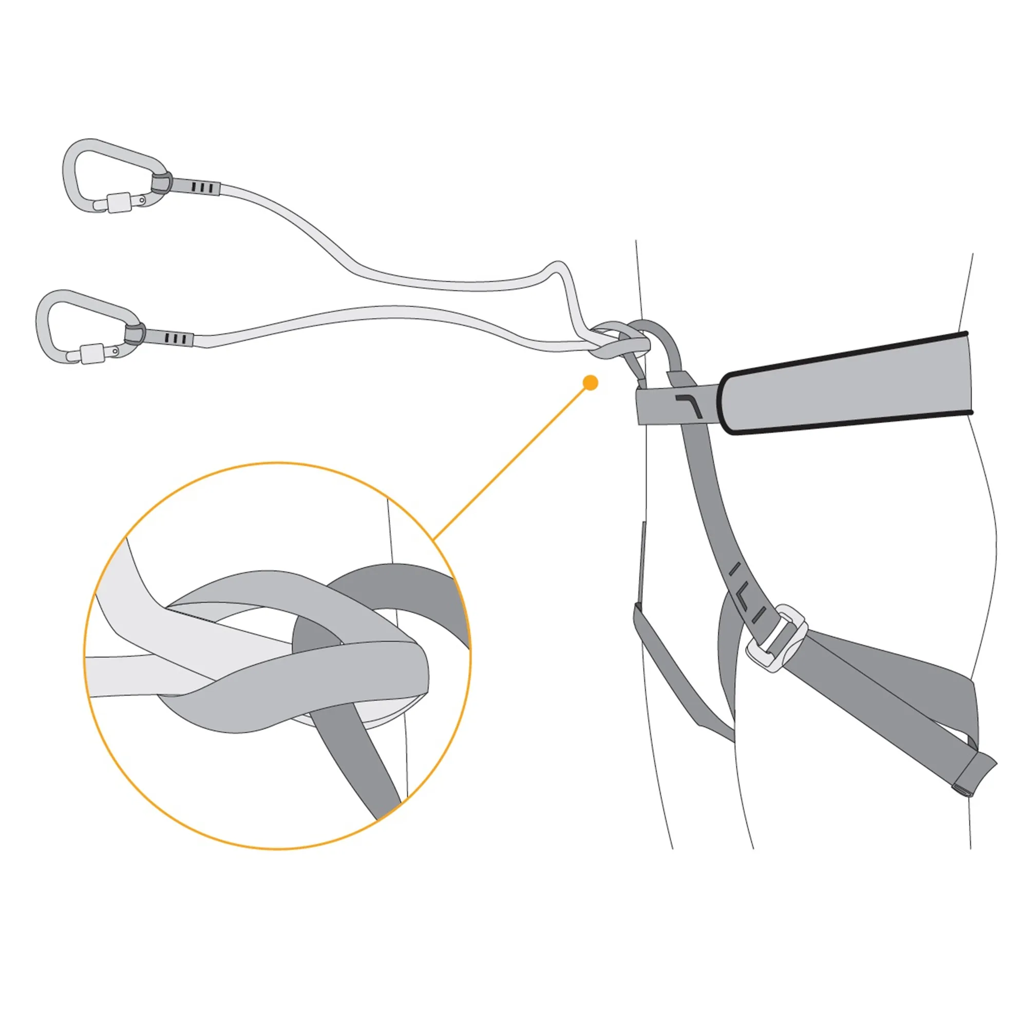 Bungee Leash