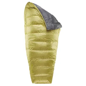 Corus 20F/-6C, Regular - Spring