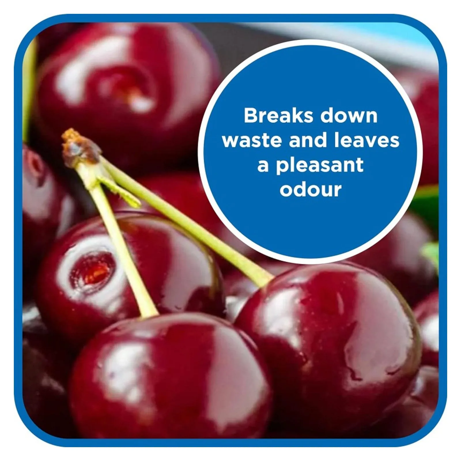Flow Blue Cherry Toilet Rinse 2.5L