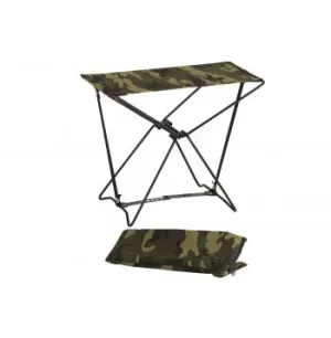 Folding Camp Stool
