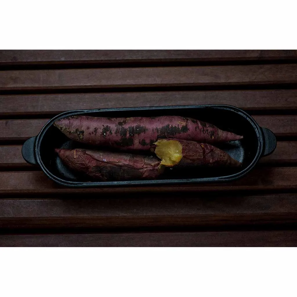 Micro Capsule Cast Iron Oven