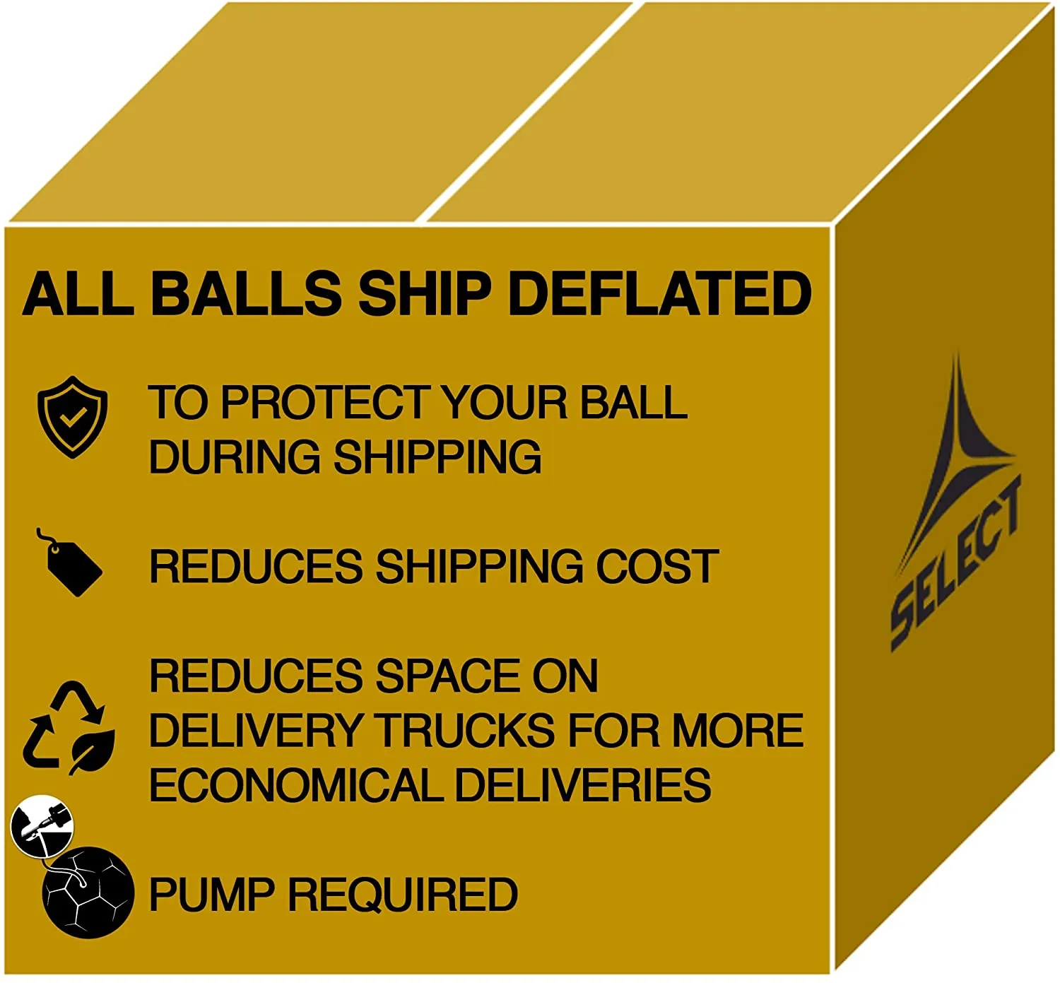 Select Bundle of 10 Select Royale V22 Soccer Ball White/Blu Size 5 NFHS Approved