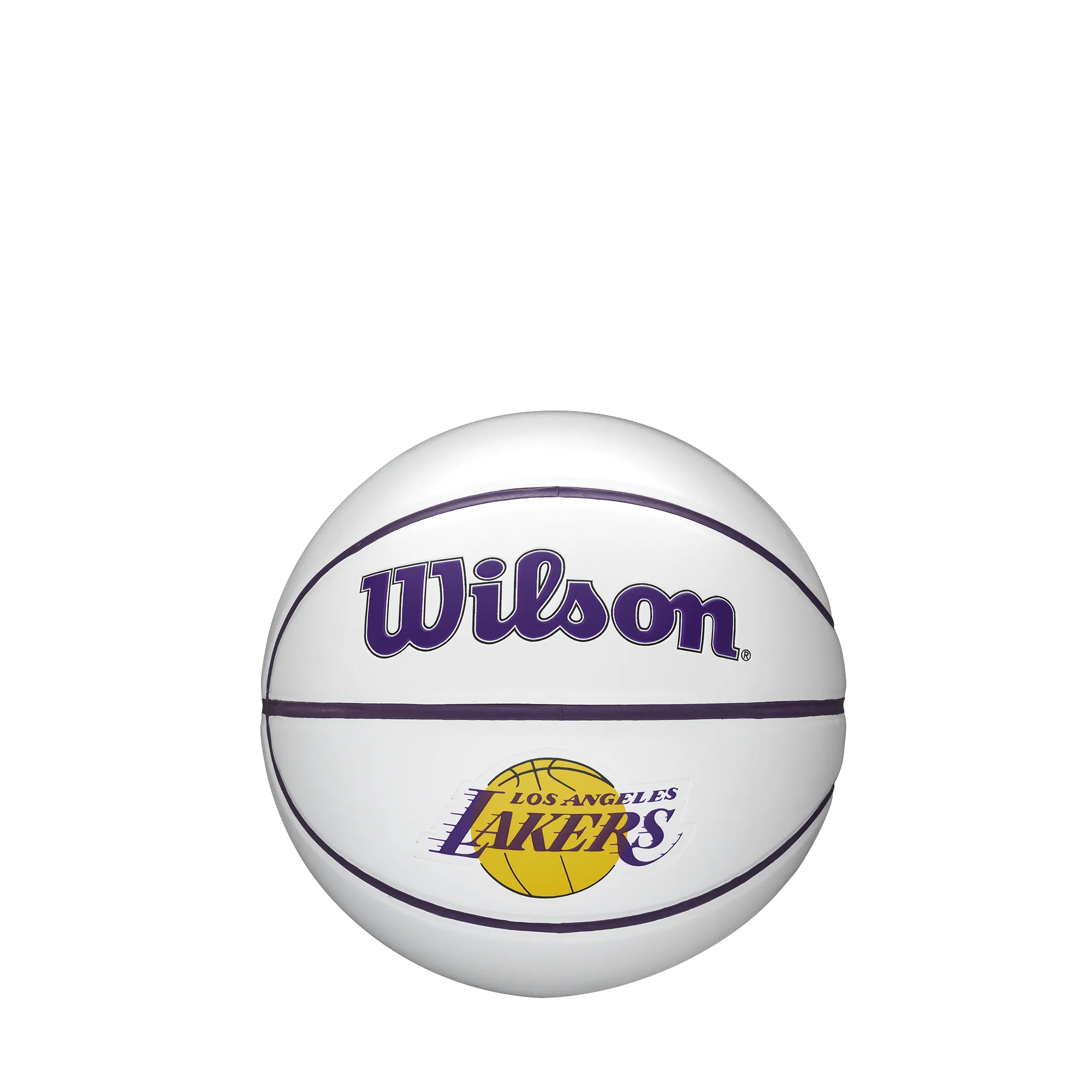 Wilson NBA Team Autograph Mini Basketball