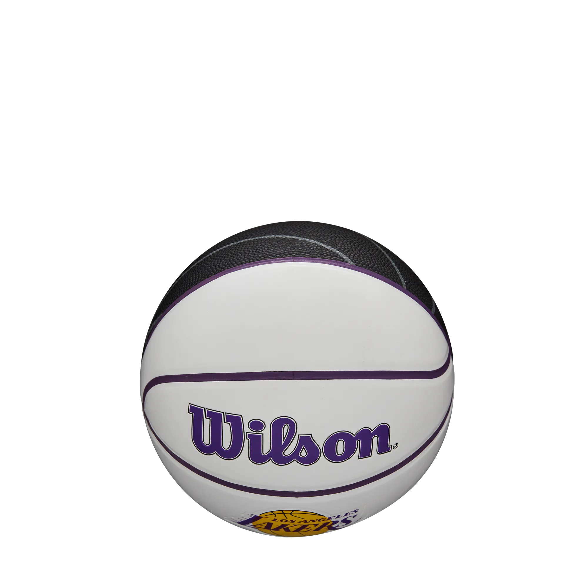 Wilson NBA Team Autograph Mini Basketball