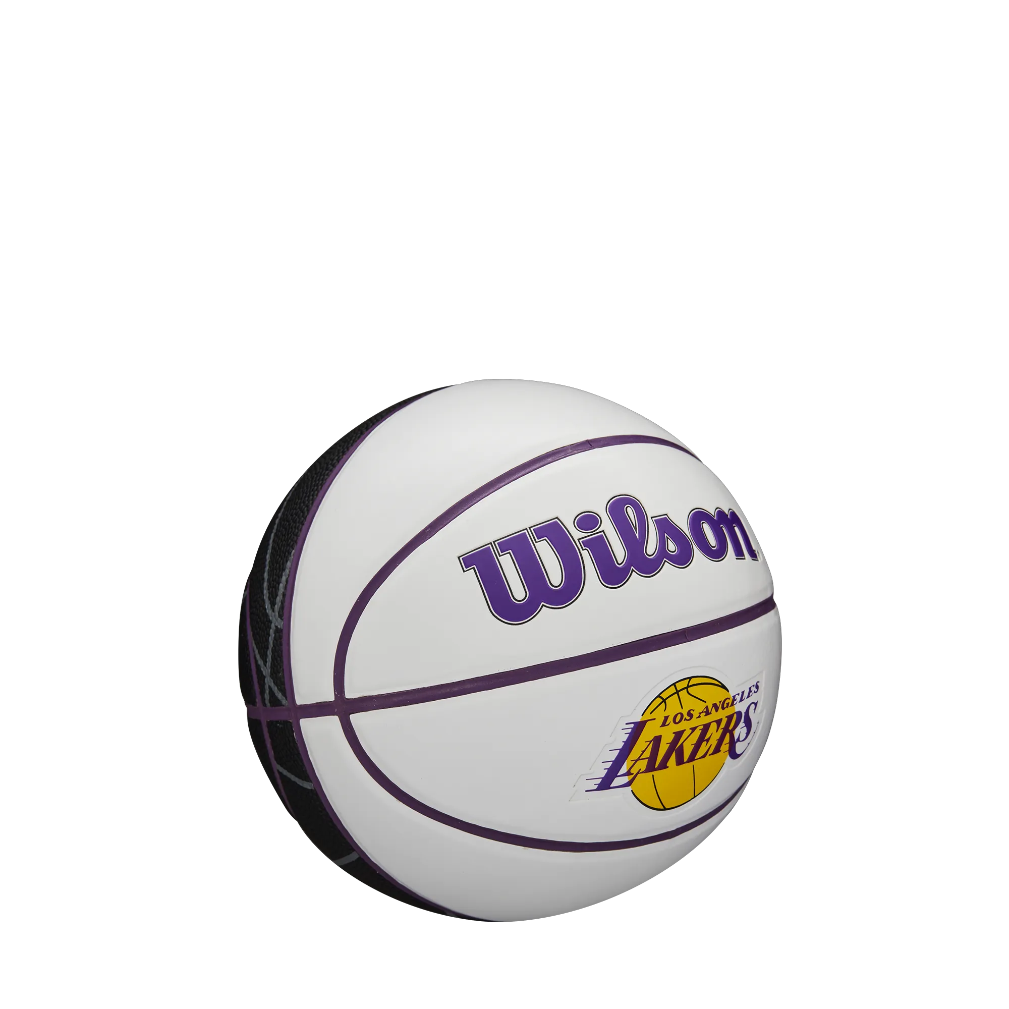 Wilson NBA Team Autograph Mini Basketball