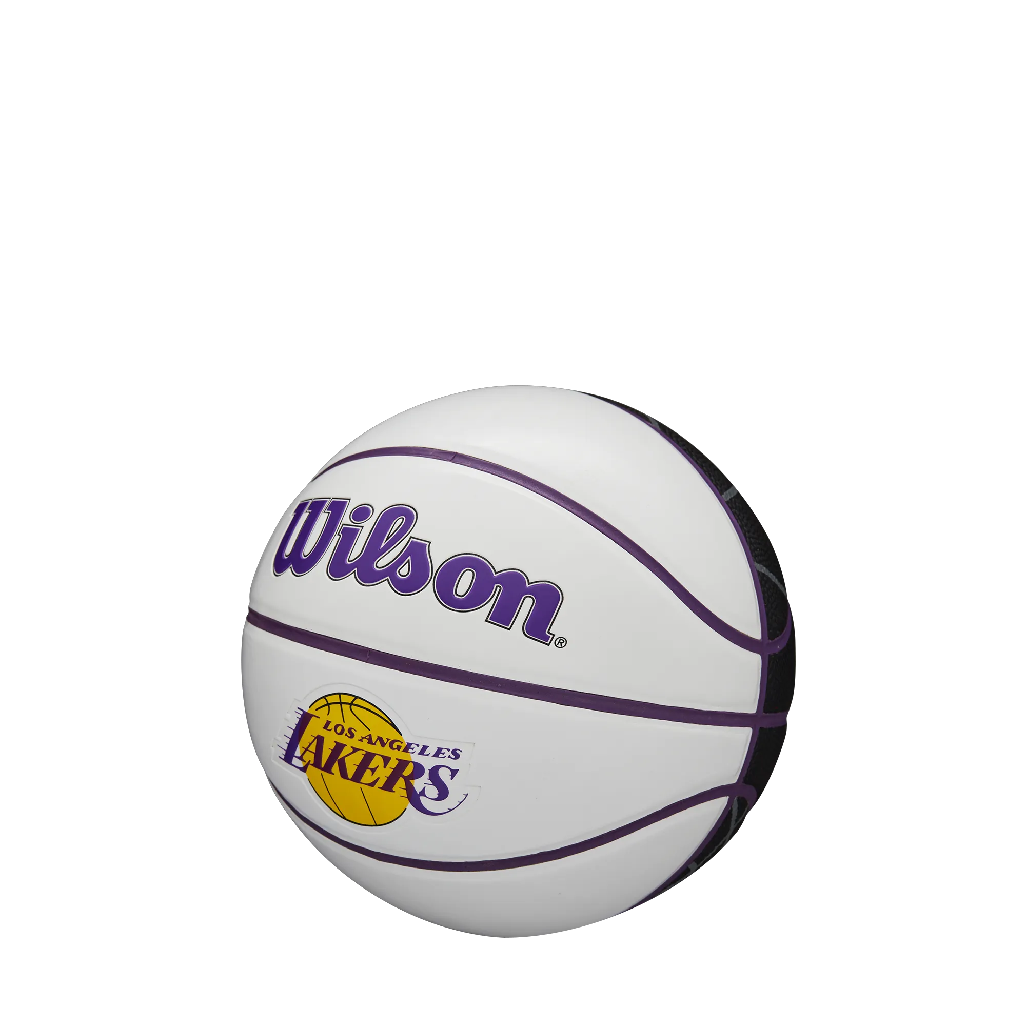 Wilson NBA Team Autograph Mini Basketball