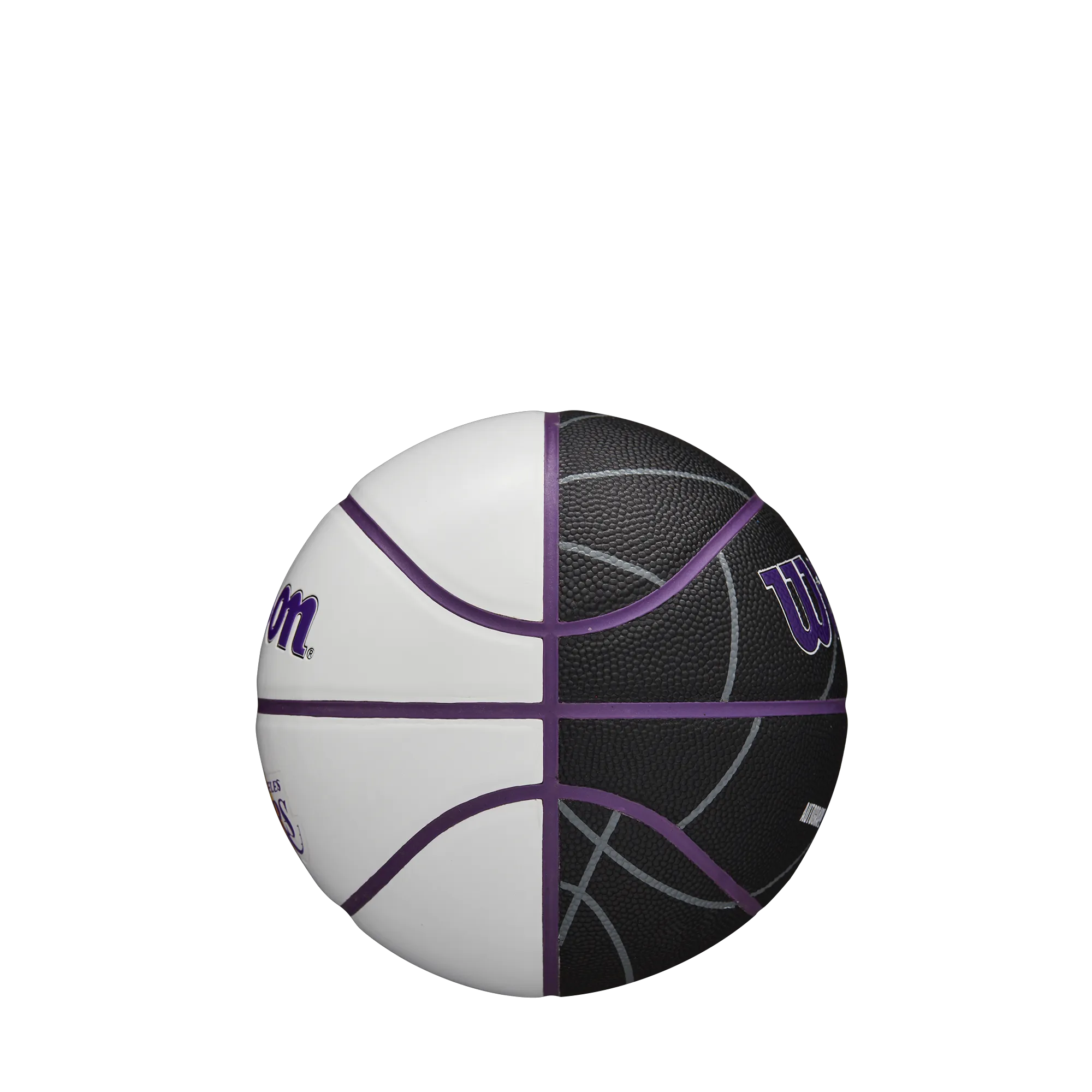 Wilson NBA Team Autograph Mini Basketball